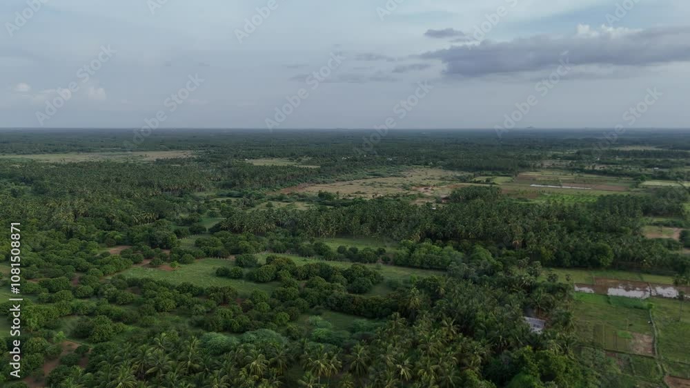 Open countryside in Sivagangai with large green patches Open countryside in Sivagangai with large green patches
