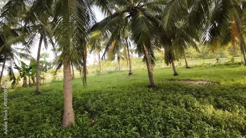 Aerial view of Sivagangai’s green photo