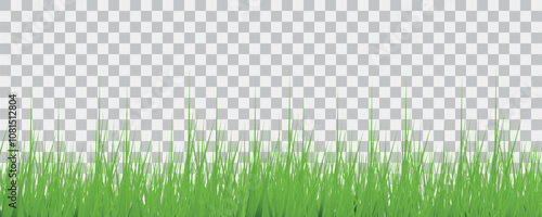  realistic green grass border transparent background, fresh lawn blades isolated, natural landscape decoration element for design and presentations