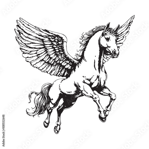 Pegasus mythological winged horse Black and white vector isolated on white background.