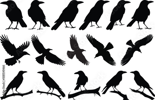 Silhouettes of crows and flying crows vector illustrations
