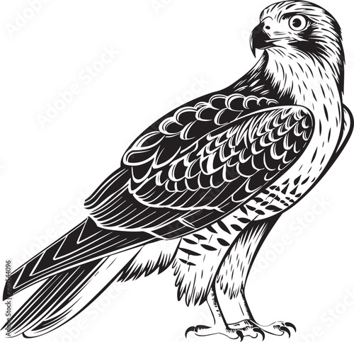 eagle vector silhouette 