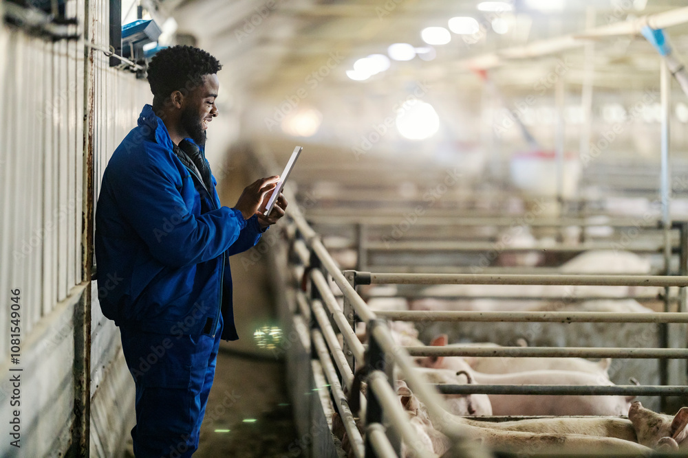 Side view of a black farmer using tablet for modern farming at barn near cote with pigs. Side view of a black farmer using tablet for modern farming at barn near cote with pigs.