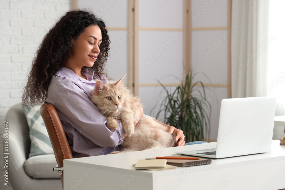 Beautiful young happy African-American woman working with laptop and her cute Maine Coon cat at home Beautiful young happy African-American woman working with laptop and her cute Maine Coon cat at home