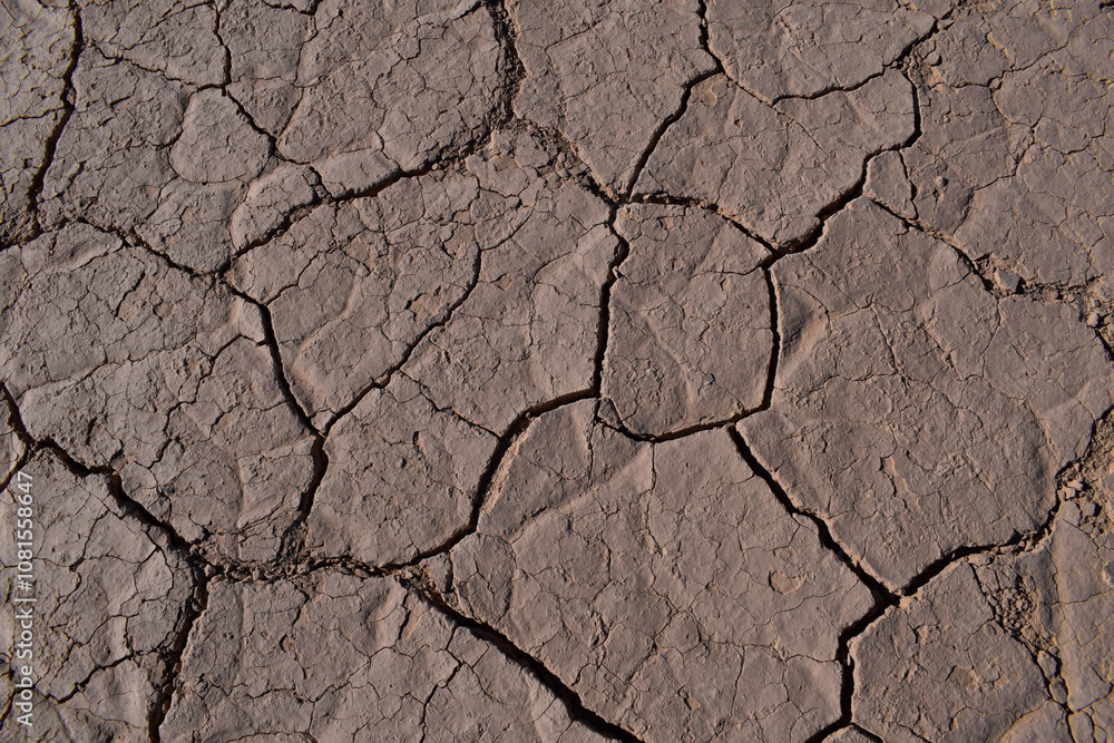 Fototapeta premium Suelo natural agrietado 