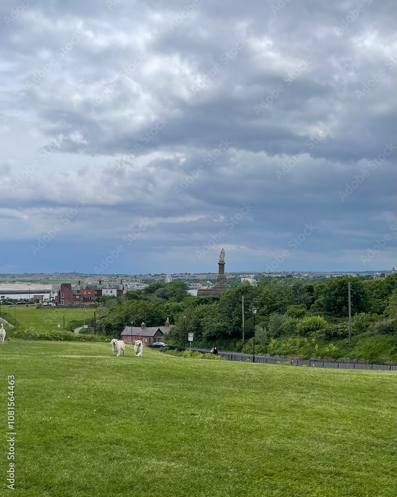 Scenic View of Green Park with Distant Monument on Cloudy Day Scenic View of Green Park with Distant Monument on Cloudy Day