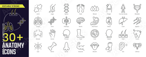 Anatomy Stroke icon collections. Containing hair, finger, human body, lungs, legs, organs, sperm, kidneys and heart icons. Editable Stroke icon collection Outline icon photo