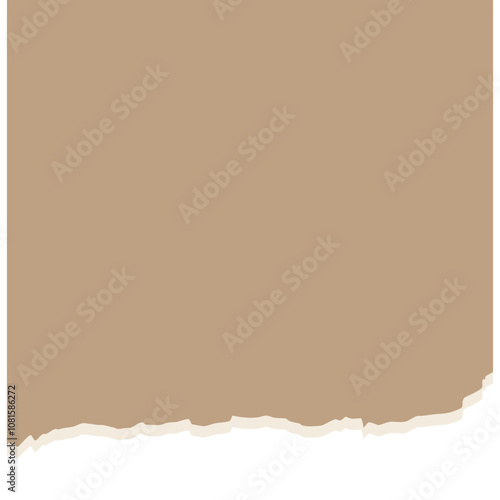 torn paper vector illustration