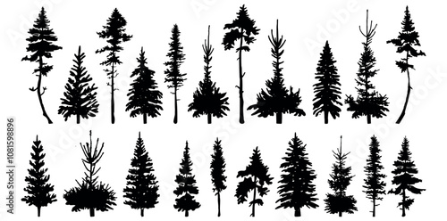 collection of silhouettes of forest trees vector. Christmas tree and pine tree vector silhouette. fir trees  vector silhouette