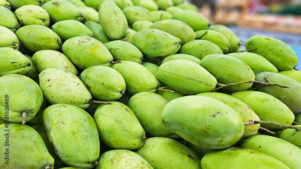 Fresh Green Mangoes: A vibrant display of green mangoes, piled high, evokes a sense of abundance and tropical freshness. Fresh Green Mangoes: A vibrant display of green mangoes, piled high, evokes a sense of abundance and tropical freshness.