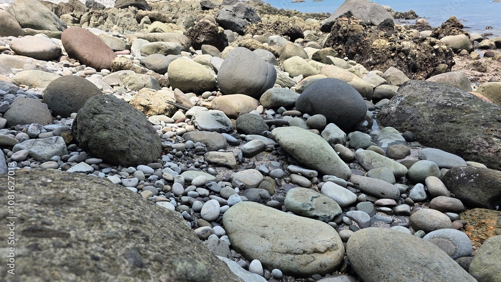 夏の海辺の大小さまざまな石 夏の海辺の大小さまざまな石