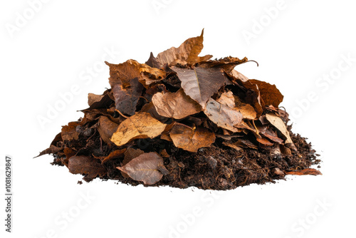 Pile of dried leaves on a white isolated background. photo