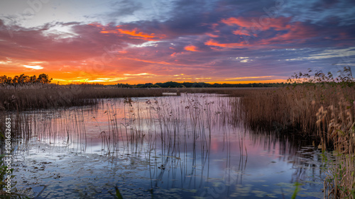 Dramatic Sunset Over Marsh Lake with Reed Reflections