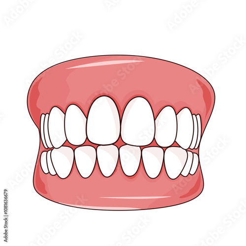 Flat design illustration of healthy teeth and gums
