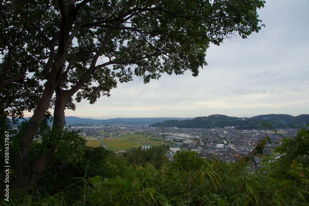 Obraz premium 亀島山から見える夕暮れ 玉島方面 