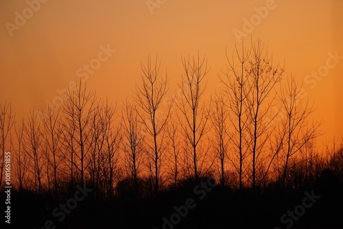 sunset in the steppe
