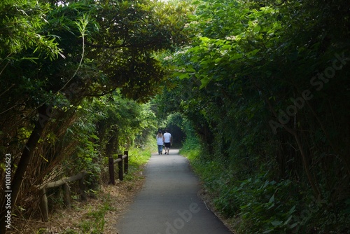 城ヶ島公園の夏の風景