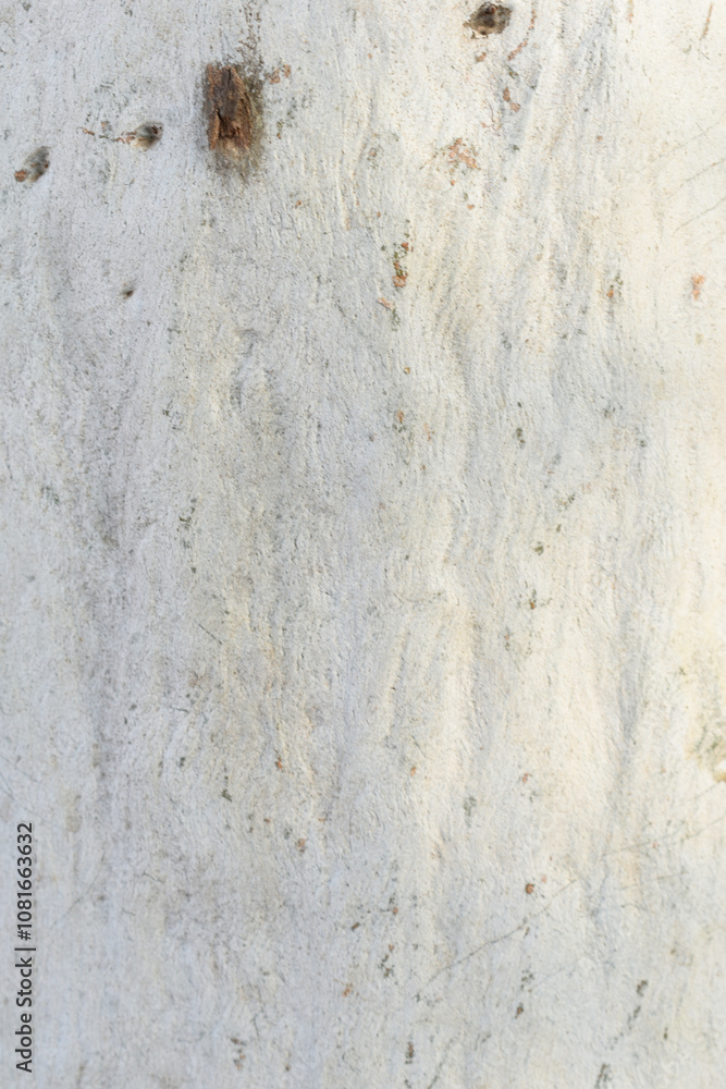 Eucalyptus tree bark texture, Bark of eucalyptus tree, seamless texture, a eucalyptus tree bark texture background image Eucalyptus tree bark texture, Bark of eucalyptus tree, seamless texture, a eucalyptus tree bark texture background image