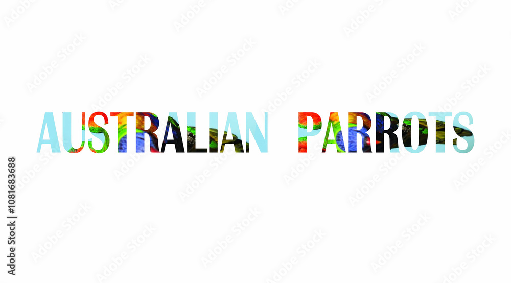 Australian Parrots: A Splash of Color Australian Parrots: A Splash of Color
