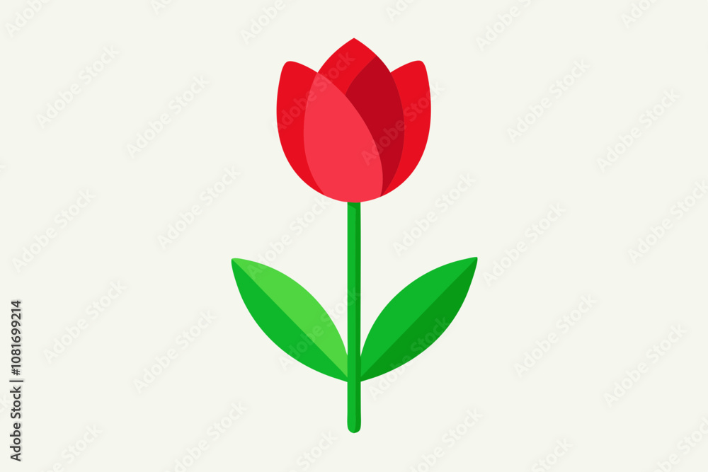 Red tulip flower vector illustration, tulip floral with white background Red tulip flower vector illustration, tulip floral with white background