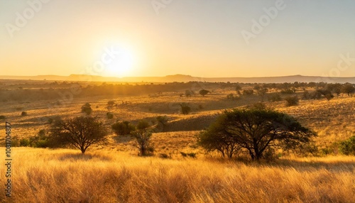 Wallpaper Mural Sunrise Over a Vast Savannah With Golden Grass Stretching to the Horizon, Dotted With Acacia Trees and Backed by Distant Rolling Hills Under a Clear Sky Torontodigital.ca