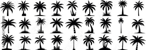 Palm tree silhouette vector collection. Tropical landscape elements ideal palm tree for exotic designs, nature illustrations, and beach theme projects