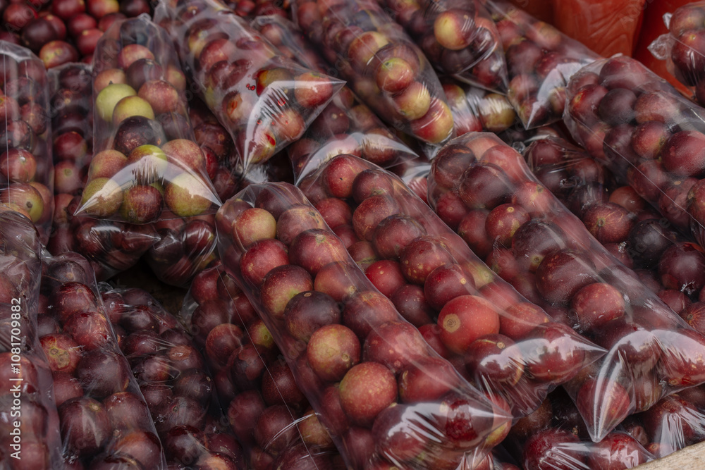 CAMU CAMU, AMAZONIAN FRUIT THAT GROWS ON THE BANKS OF RIVERS, DELICIOUS RED FRUIT KNOWN AS CAMU CAMU, DELICIOUS IN ICE CREAMS AND DESSERTS CAMU CAMU, AMAZONIAN FRUIT THAT GROWS ON THE BANKS OF RIVERS, DELICIOUS RED FRUIT KNOWN AS CAMU CAMU, DELICIOUS IN ICE CREAMS AND DESSERTS