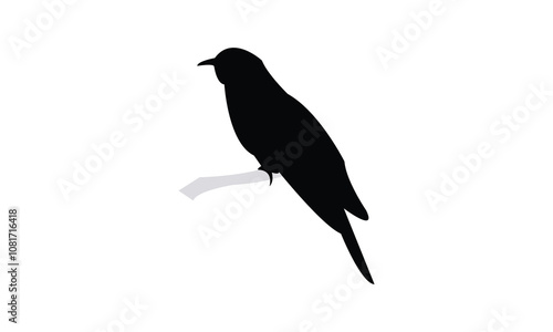 Common Hawk Cuckoo Silhouette Design  And Vector Illustration. 