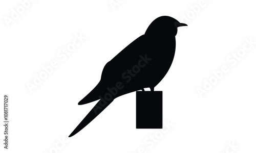 Common Hawk Cuckoo Silhouette Design  And Vector Illustration. 