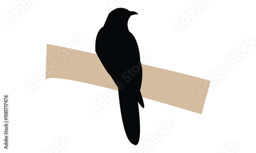 Common Hawk Cuckoo Silhouette Design  And Vector Illustration. 