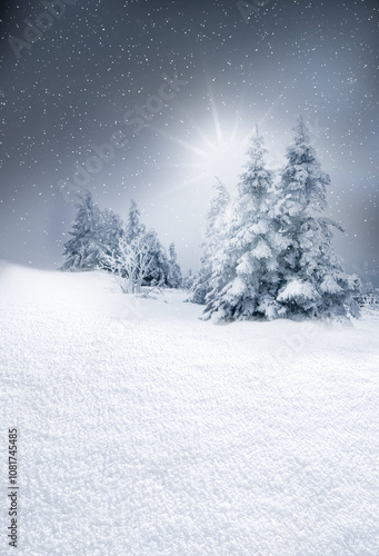 Gut Verschneite Tannenbäume im Winterwald