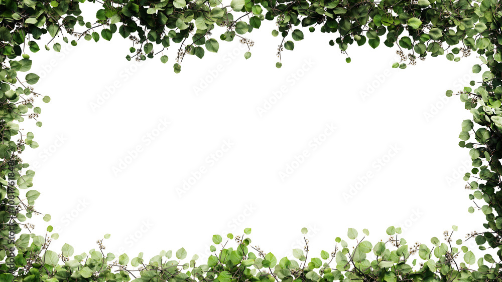 Fresh green leaves and flower frame isolated with transparent background Fresh green leaves and flower frame isolated with transparent background
