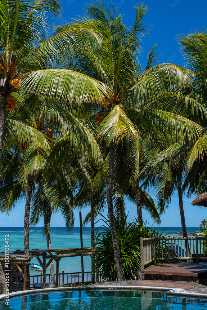 Fototapeta premium Tropical setting at a luxury hotel on Mauritius Island. The scene is framed by tall, lush palm trees with green fronds.In the foreground beautiful pool reflecting the vibrant greenery and blue sky.