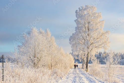Wallpaper Mural People hiking on a path a cold snowy beautiful winter day Torontodigital.ca