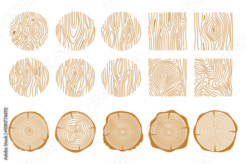 Tree rings. Wood texture . Abstract circle tree background.