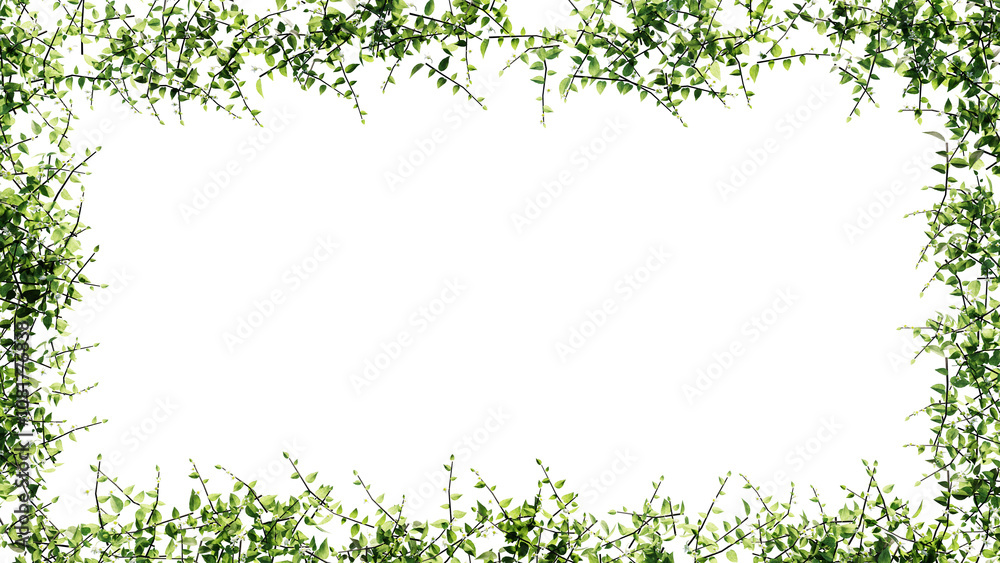 Obraz premium Fresh green leaves and flower frame isolated with transparent background