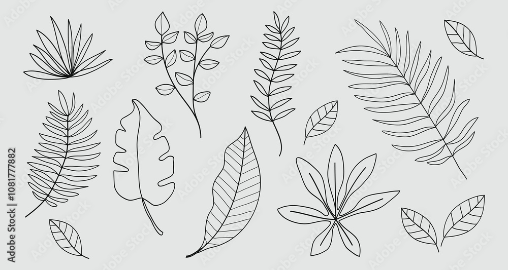 Set of twigs with leaves botanical hand- drawn collection.Vector illustration Set of twigs with leaves botanical hand- drawn collection.Vector illustration