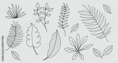 Set of twigs with leaves botanical hand- drawn collection.Vector illustration