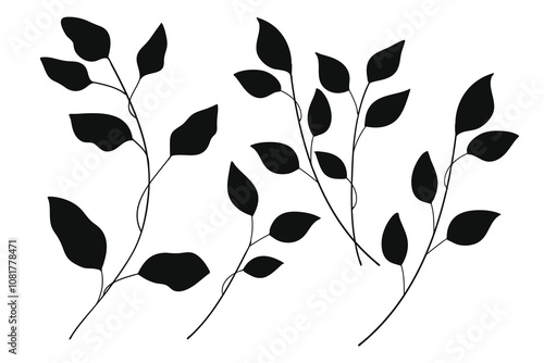 Silhouette Leaves branch and floral plants element collection.Vector illustration