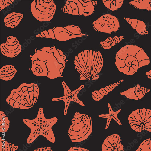 Black Background Sea Shells Illustration