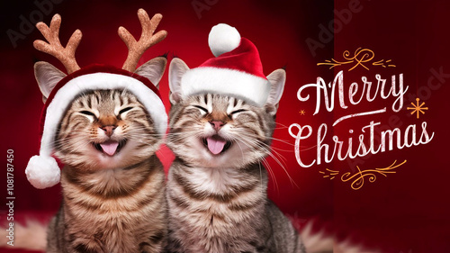 A joyful Christmas moment captured with two silly cats in Santa hats one with reindeer antlers and a bright 