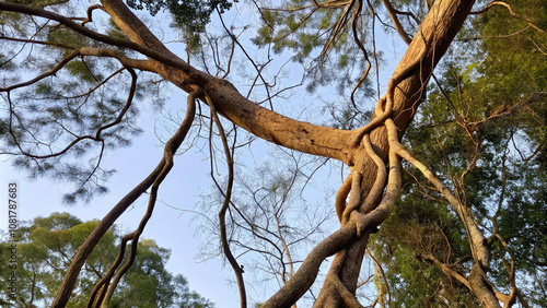 Struggle for Growth, A Symbolic Tree of Dominance and Resilience in the Shadow of Monopolistic Power photo