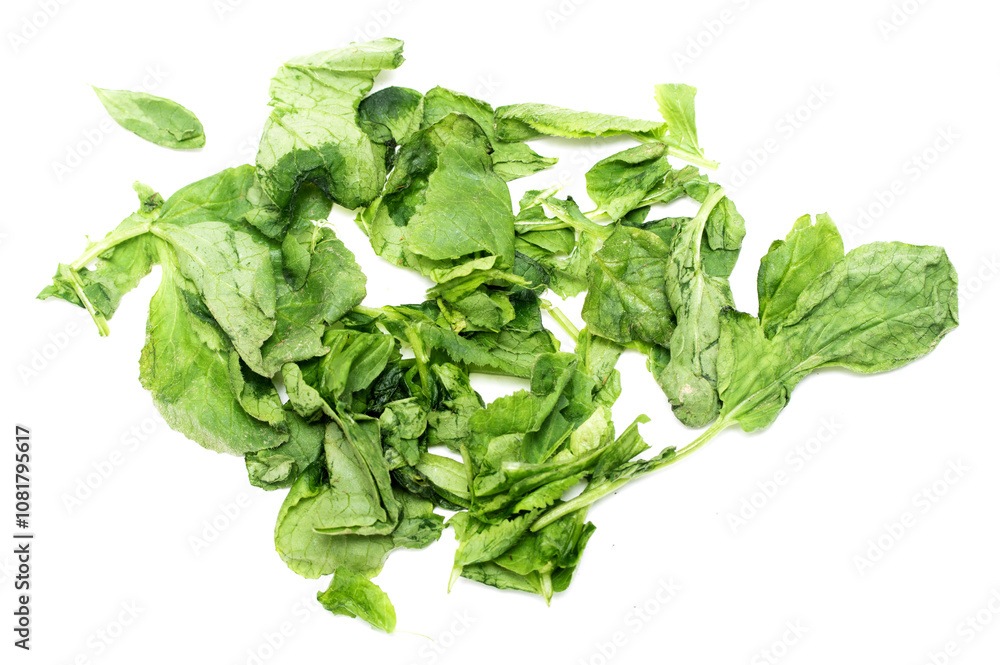 green lettuce leaves on a white background green lettuce leaves on a white background