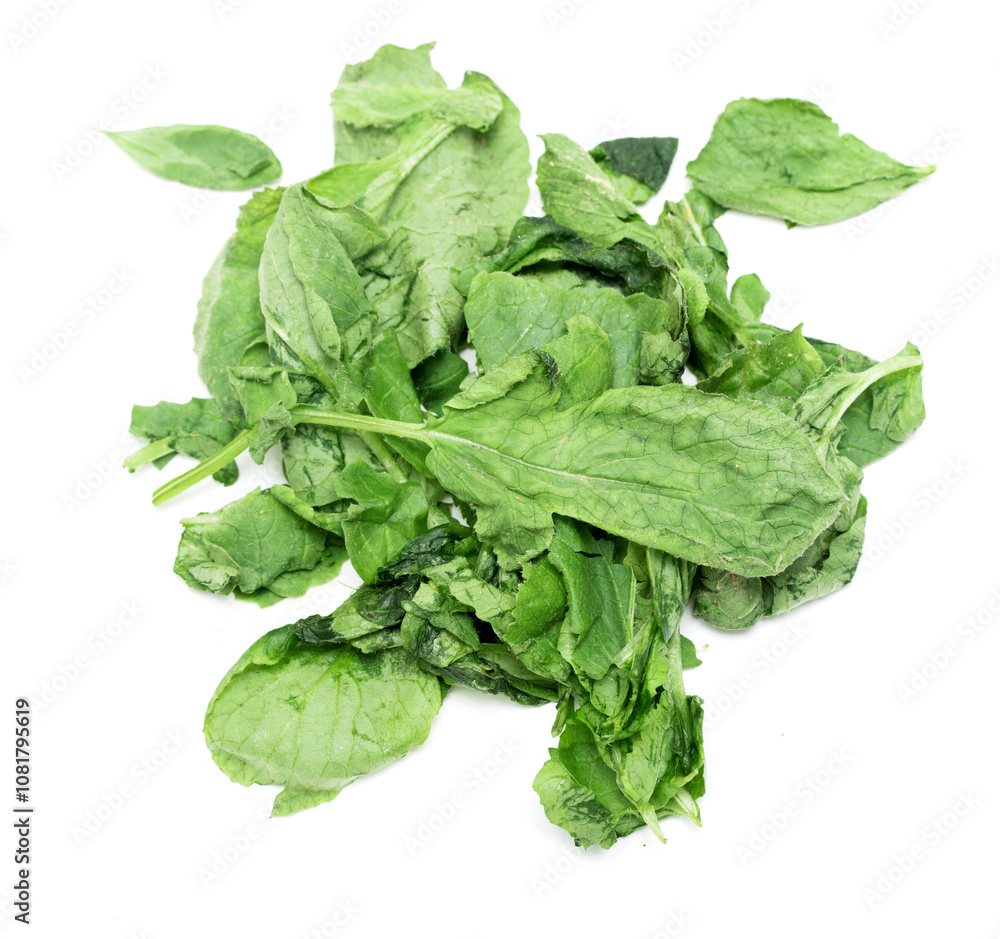 green lettuce leaves on a white background green lettuce leaves on a white background