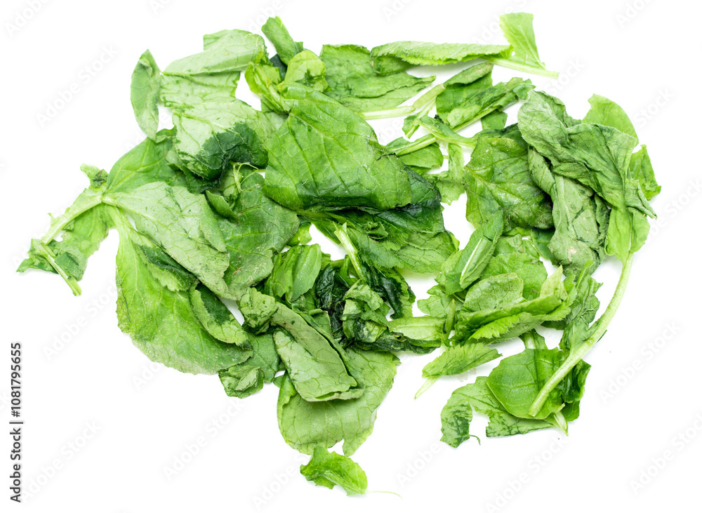 green lettuce leaves on a white background green lettuce leaves on a white background