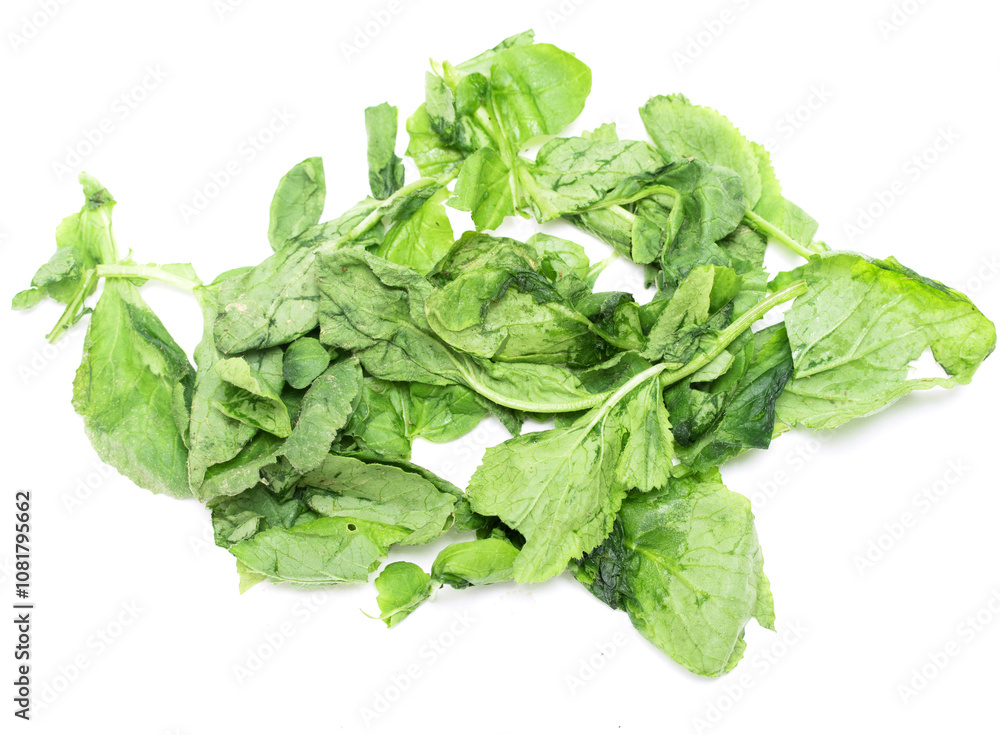 green lettuce leaves on a white background green lettuce leaves on a white background