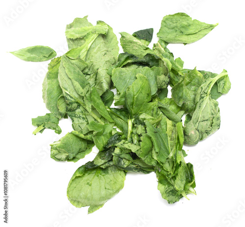 green lettuce leaves on a white background