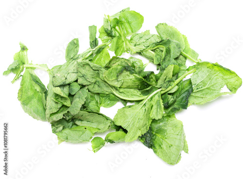 green lettuce leaves on a white background