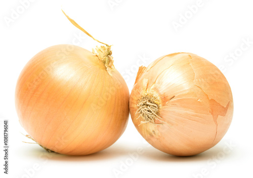 onion is not white background photo