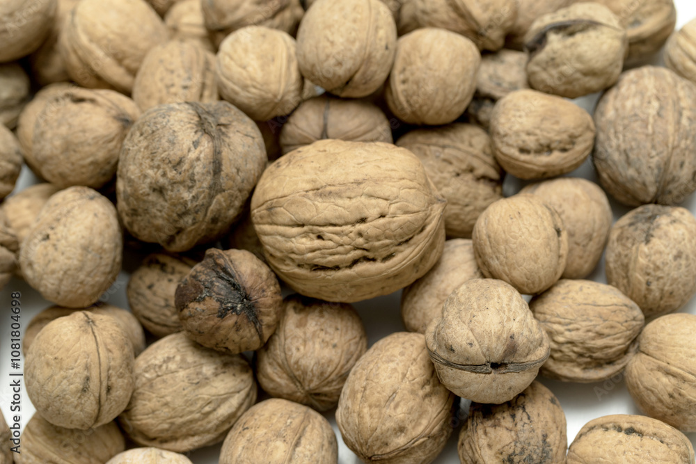 Walnut closeup on white Walnut closeup on white